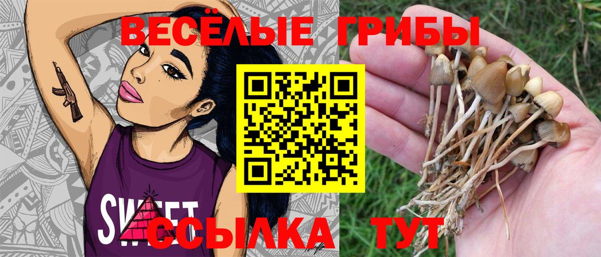 Галлюциногенные грибы Magic Shrooms Южно-Сахалинск