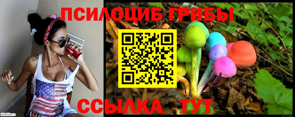 купить наркотики сайты  Вход с VPN  Южно-Сахалинск  Галлюциногенные грибы Psilocybe 